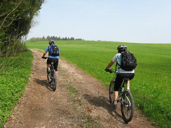 Freie Wiesen mit Ausblick wechseln immer wieder mit kurzen Waldpassagen ab