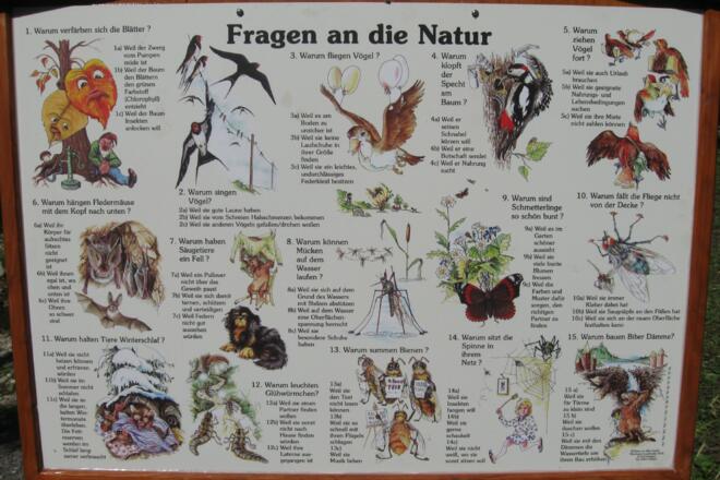 Übersichtstafel Naturerlebnispfad Brannenburg 