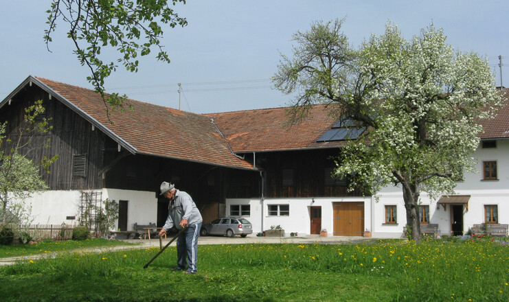 Wo findet man sonst noch, dass Wiesen mit der Sense gemäht werden