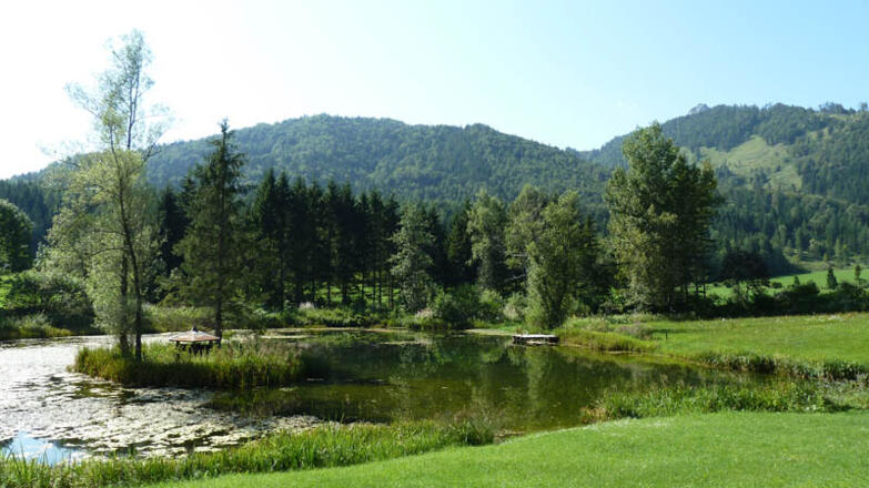 Rund um den Schwarzenberg - Kleiner See bei Wildgrub
