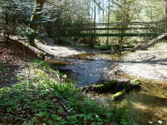 Wandern im Chiemsee-Alpenland