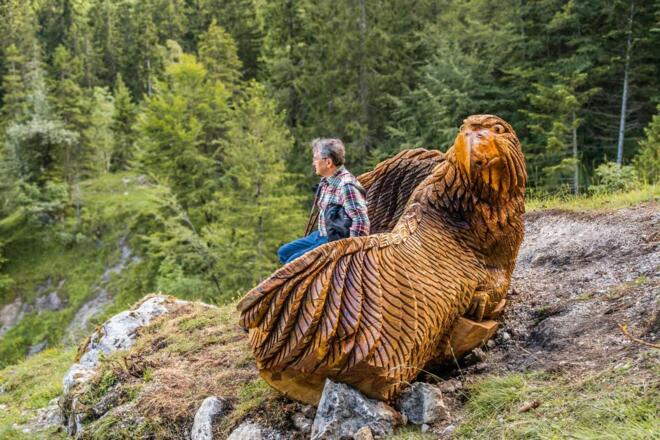 Vogelschutzbank oberhalb der Mailalm - Wendelsteinstreifzüge Künstlerweg