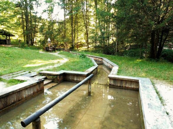 Waldkneipp Wolfschwang