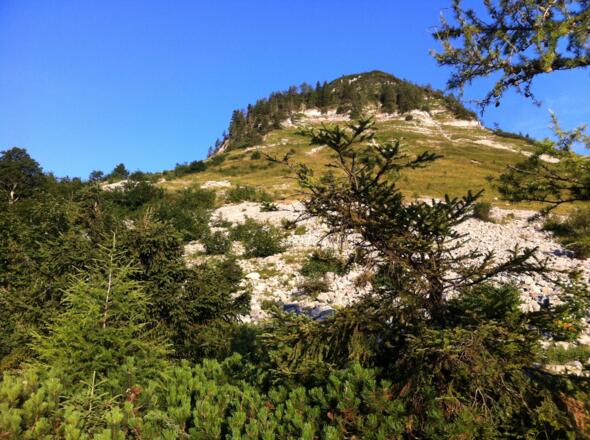 Aufstieg zum Holzeck über die Genneralm
