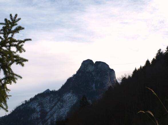 &quot;Vitz Sparber&quot; mit Blick zum Sparbergipfel 1502m.