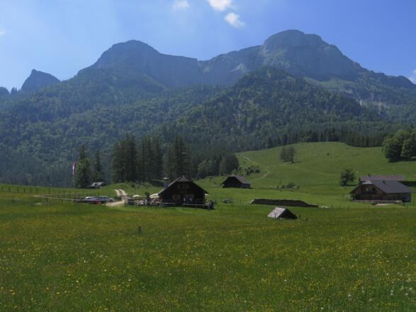 Eisenaueralm