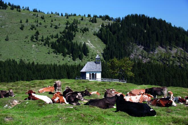 Panoramahütte Postalm