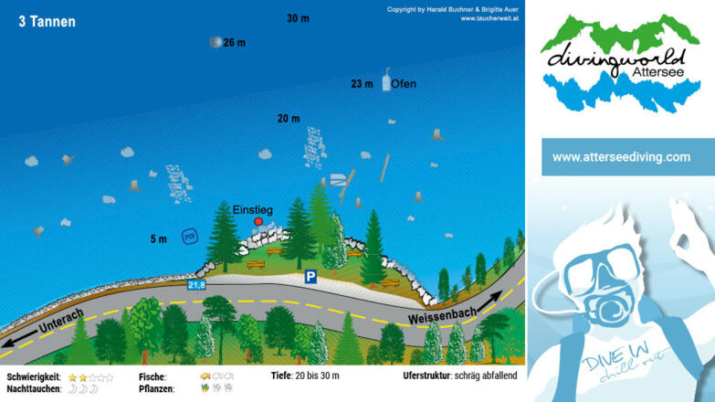 tauchplatz_3_tannen