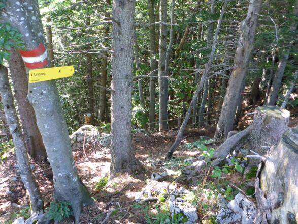 Steig zur Bärenhöhle