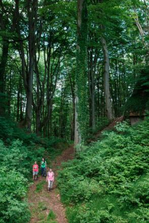 Wandern um die Burgruine Wildenstein