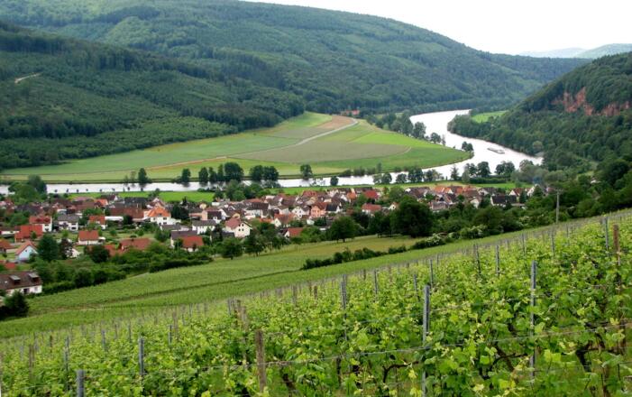 Blick auf Dorfprozelten