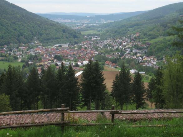 Sicht nach Amorbach, von der Ruine aus