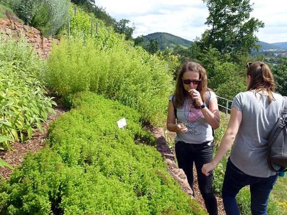 Aus dem Kräutergarten darf jeder Wanderer ein paar Kräutlein mitnehmen.