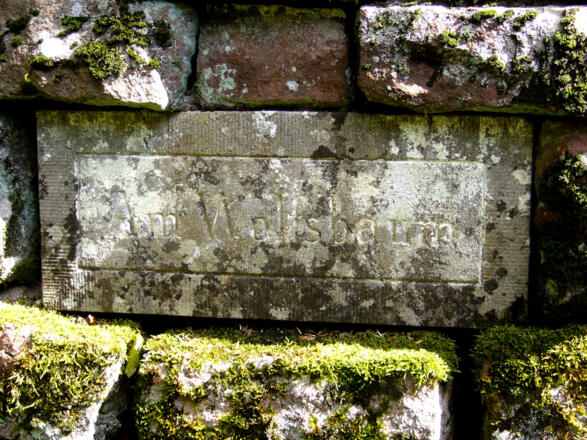 Am Wolfsbuchen Denkmal