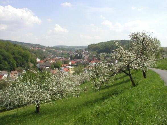 Leidersbach im Frühling