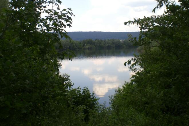 Blick auf den Mondsee