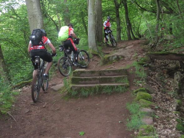 Auffahrt zur Gotthartsruine