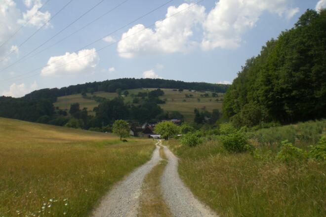 Blick Richtung Hofwildensee