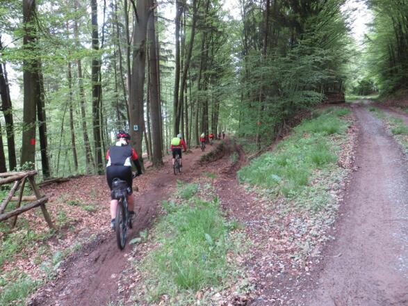 Erster schöner Trail nach Amorsbrunn
