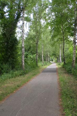 Radweg um den Mondsee