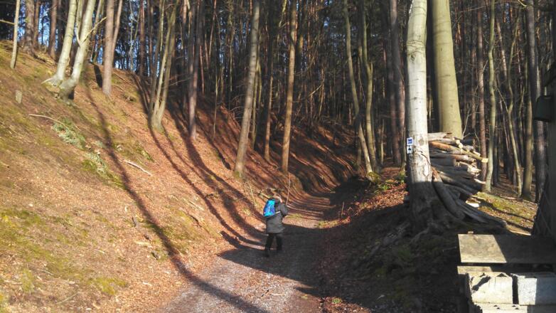 schöner Hohlweg auf der Strecke