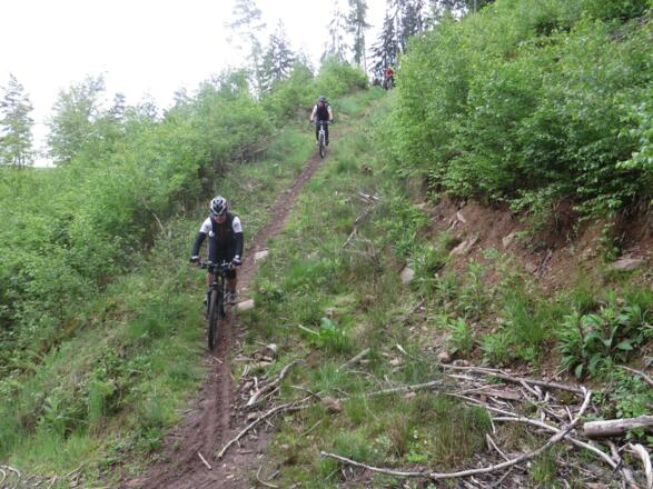 Abfahrt in den Ort Amorbach, nach dem Schwabenstein