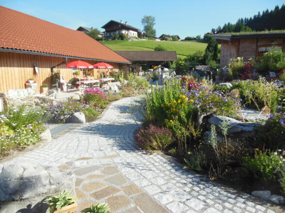 Blick auf die gemütliche Sonnenterrasse
