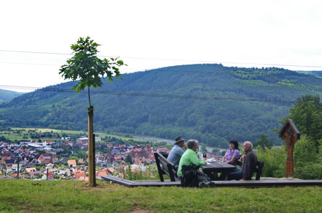 Ausblick mit Weinberg