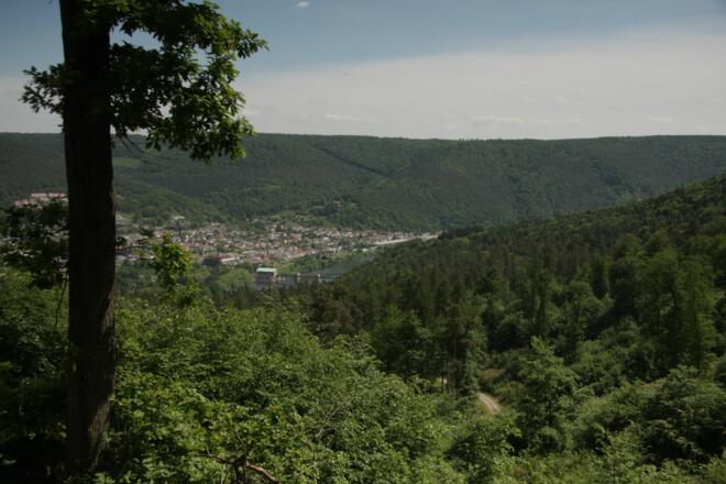 Aussicht nach Freudenberg
