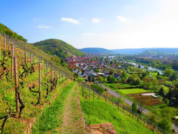 Wanderweg &quot;Schnepfe&quot; Klingenberg, Churfranken
