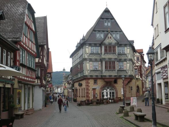 Stadtrundgang Miltenberg I