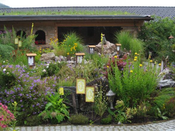 Viel verschiedene Kräuter &amp; Pflanzen - Oberhinteregger´s Kräutergarten