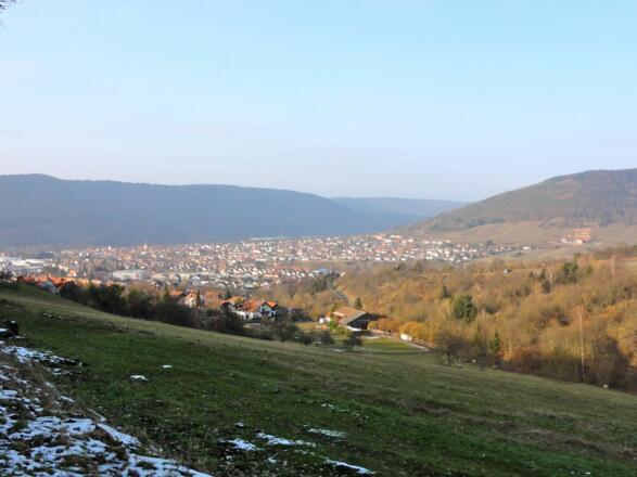 Ausblick ins Maintal 