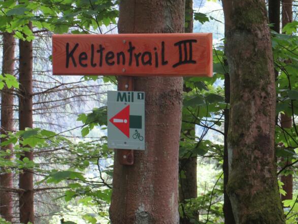 Beginn der Keltentrails, super ausgeschildert und ausgebaut!