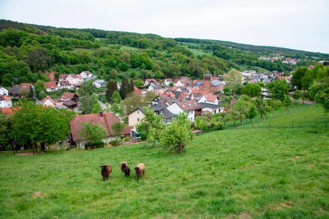 Aussicht auf Leidersbach