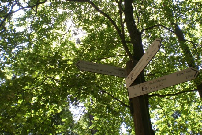 Wegweiser an Kreuzung E5 und Eselsweg