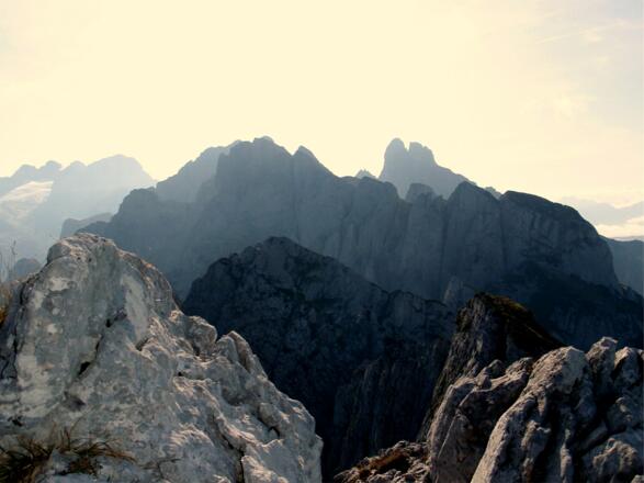 Bischofsmütze im Gegenlicht