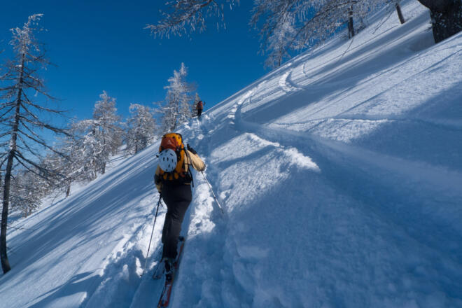 Steilstück mit ca. 35° im immer lichter werdenden Wald