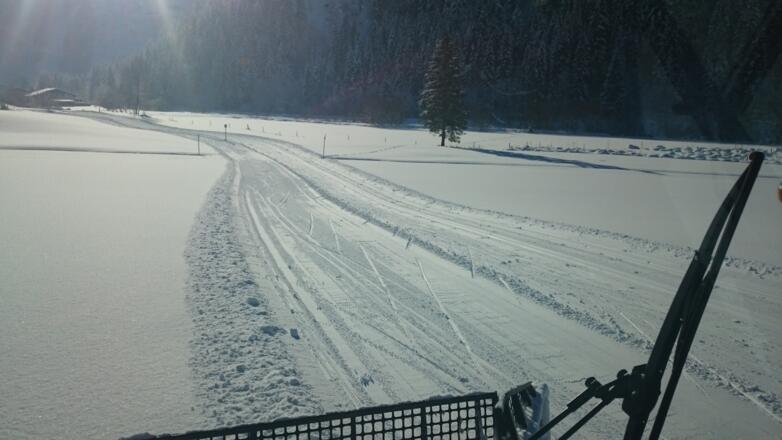 Loipenpräparierung Auloipe 2