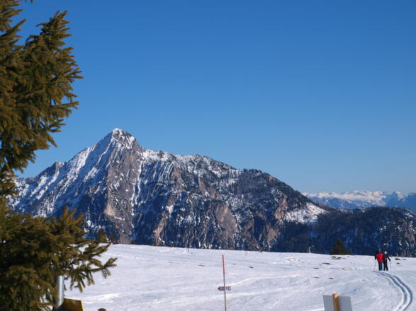 Loipe erreicht, Rinnerkogel im Hintergrund