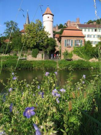 Wertheim Kittsteintor