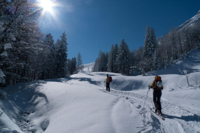 Nicht mehr weit zur Genneralm, der Wald lichtet sich