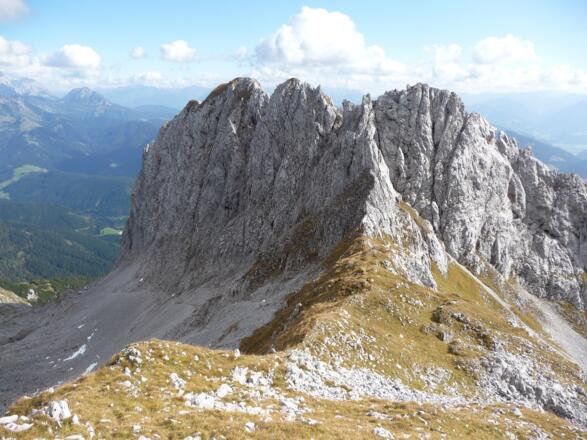 Riffl von &quot;oben&quot;