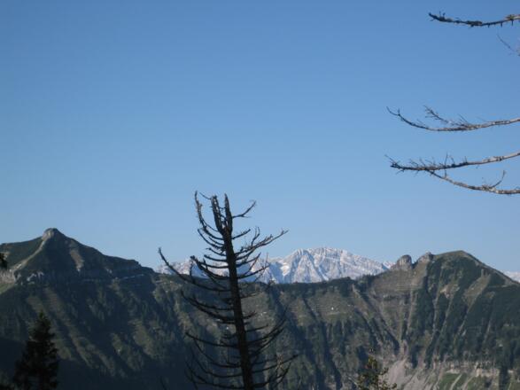 Guberhorn und Regenspitz