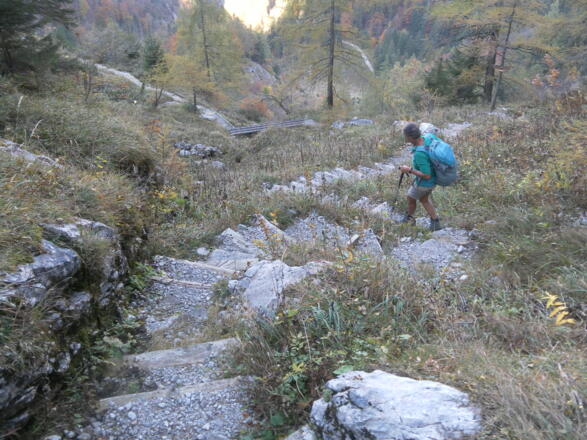 vorbildliche Steiganlage im Steilwald