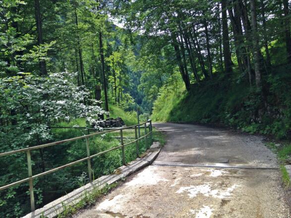 Mountainbike Strecke Postalm