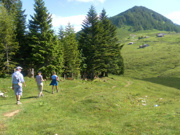 Labenbergalm und Labenberg