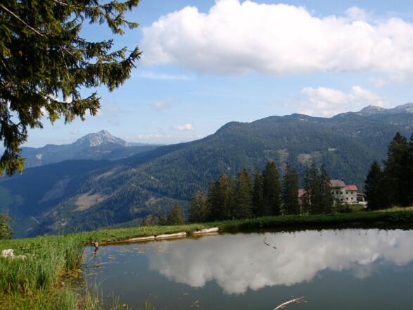 Lacke bei der Zwieselalm 1522m