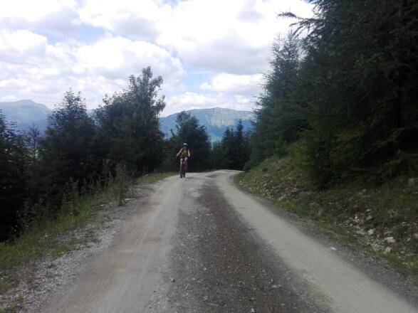 auf der Forststraße Richtung Gsengalm