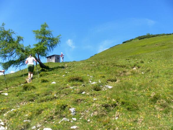 Hütte am Gipfelhang